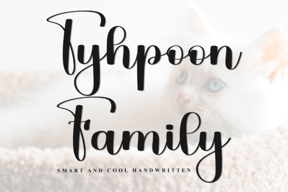 Discover Tyhpoon Family: A Versatile Typeface for Web Design