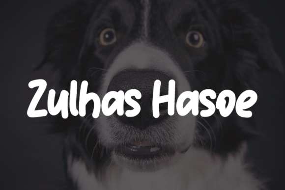 Enhance Your Campaigns with Zulhas Hasoe Font