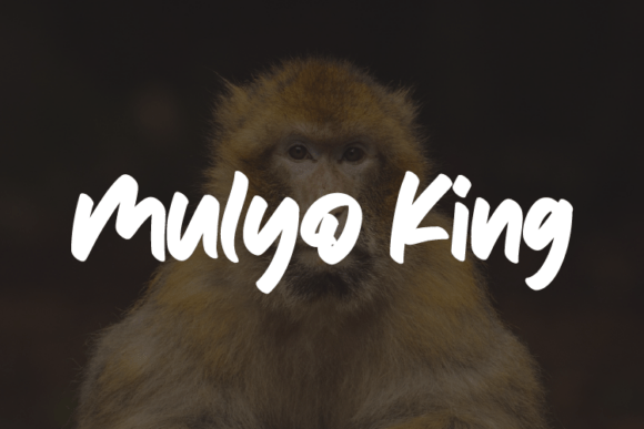 Mulyo King: A Bold and Expressive Script Amp Font